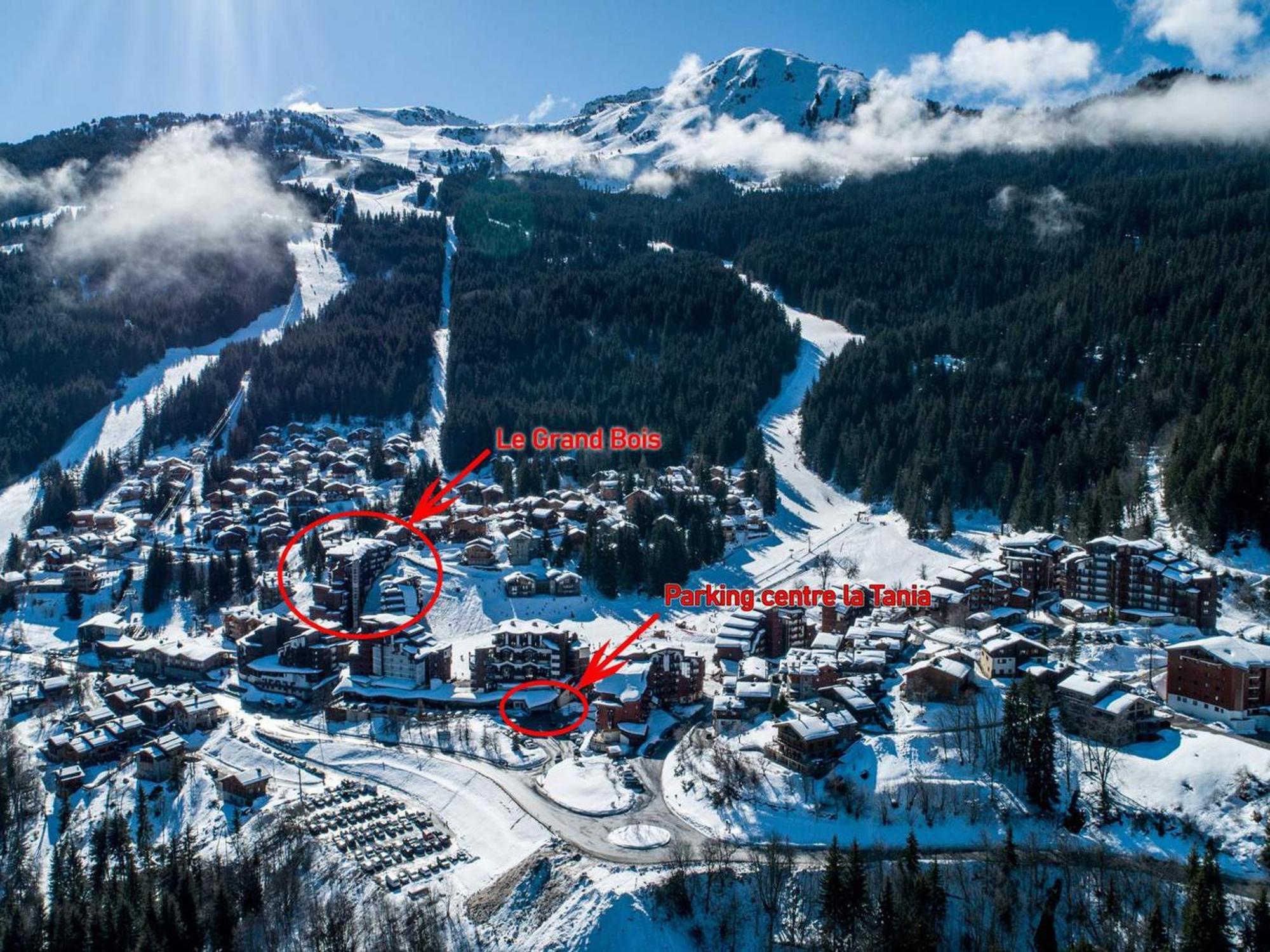 2p Au Coeur Des 3 Vallees, Skis Aux Pieds, Balcon Est, 4 Pers., La Tania - Fr-1-182a-25 Apartment